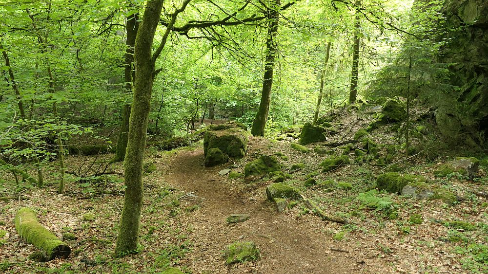 Saar Hunsrueck Steig