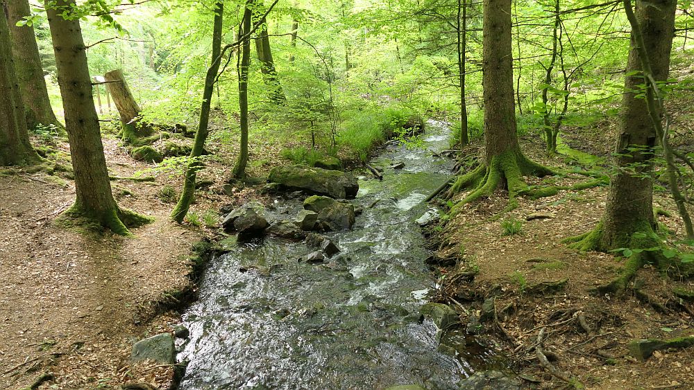 Saar Hunsrueck Steig