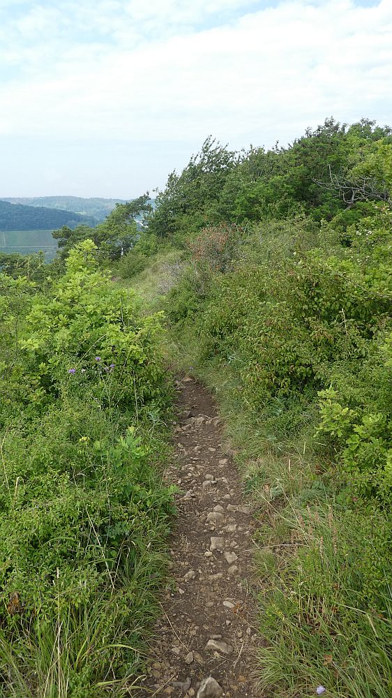 Saar Hunsrueck Steig