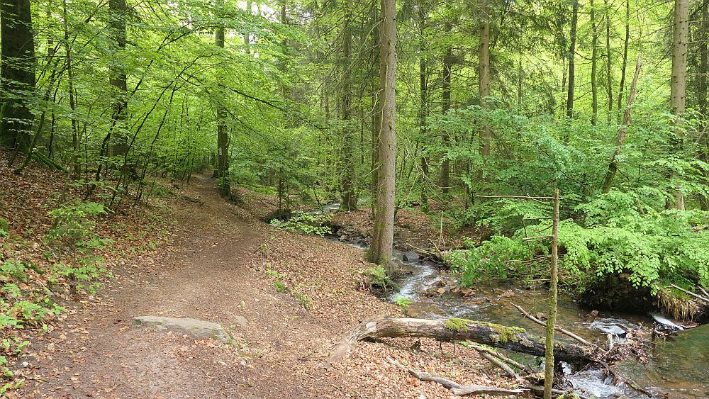 Saar Hunsrueck Steig