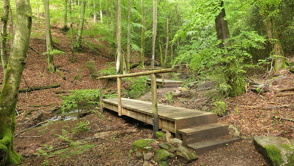 Saar Hunsrueck Steig