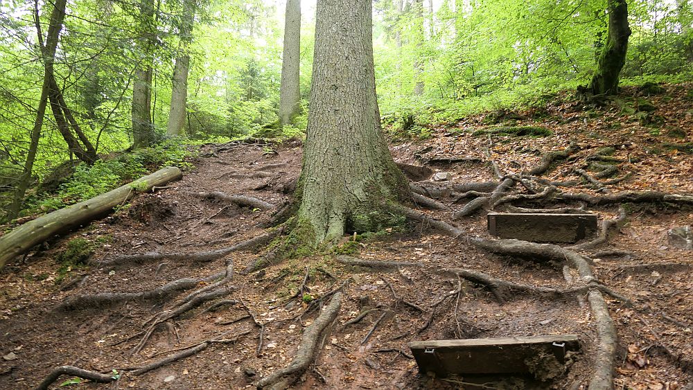 Saar Hunsrueck Steig