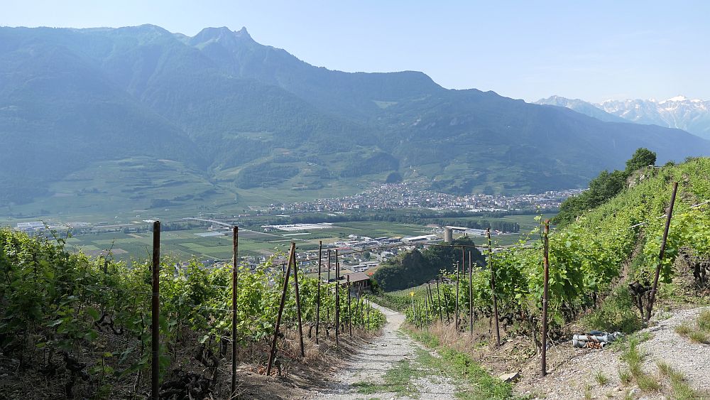 Saillon zur Hängebruecke Farinet