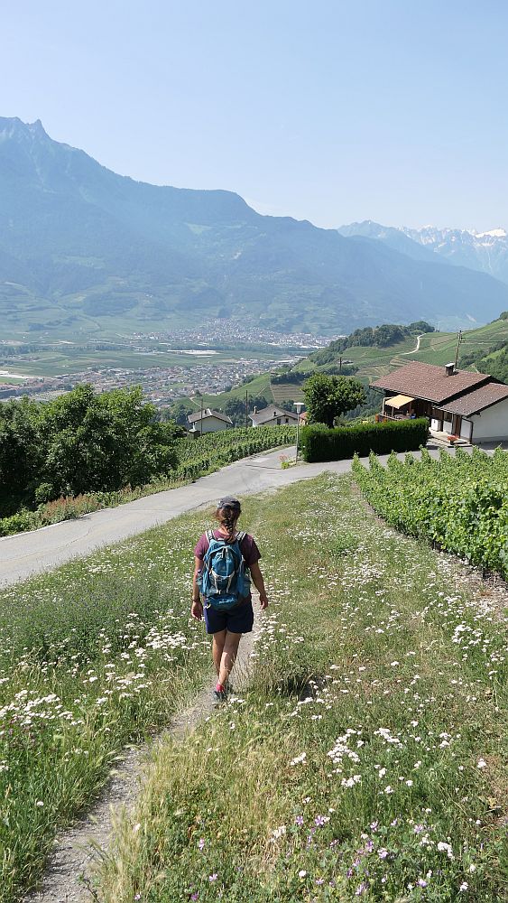 Saillon zur Hängebruecke Farinet