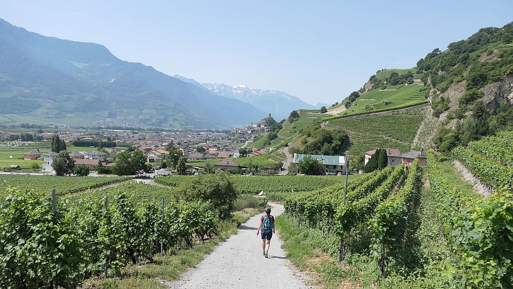 Saillon zur Hängebruecke Farinet