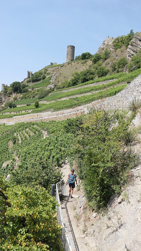 Saillon zur Hängebruecke Farinet