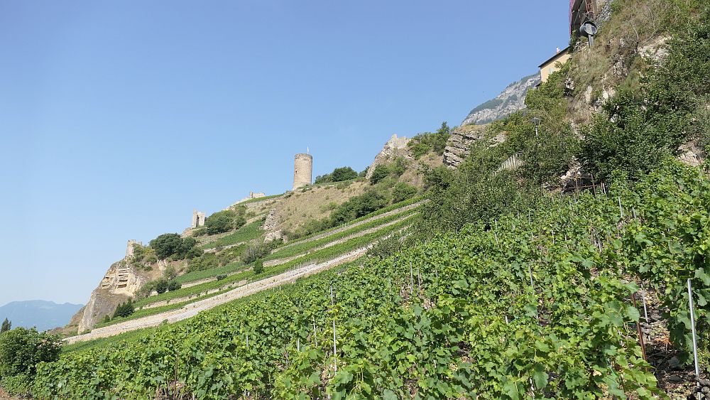 Saillon zur Hängebruecke Farinet