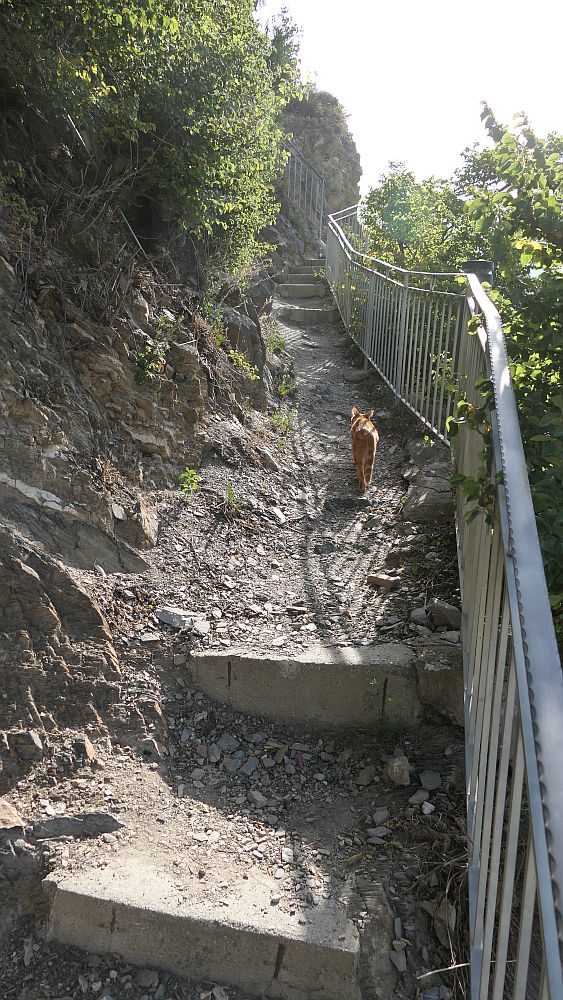 Saillon zur Hängebruecke Farinet