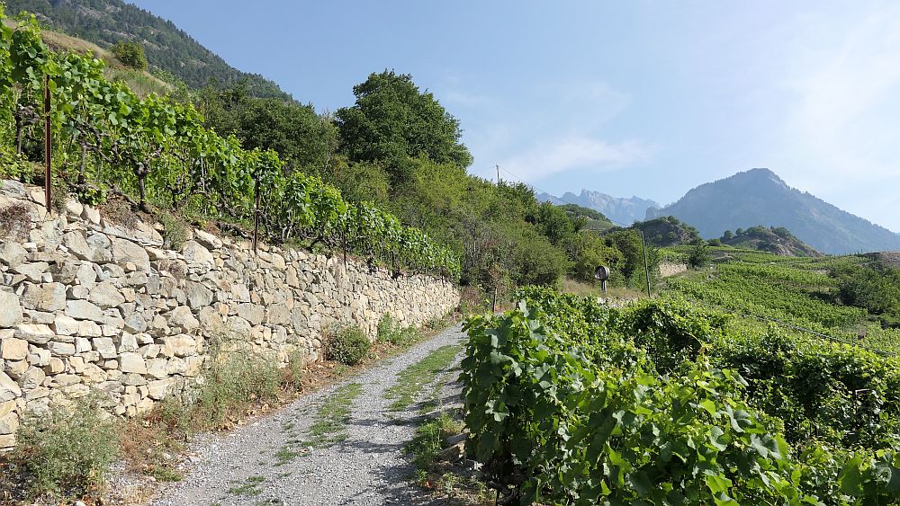 Saillon zur Hängebruecke Farinet