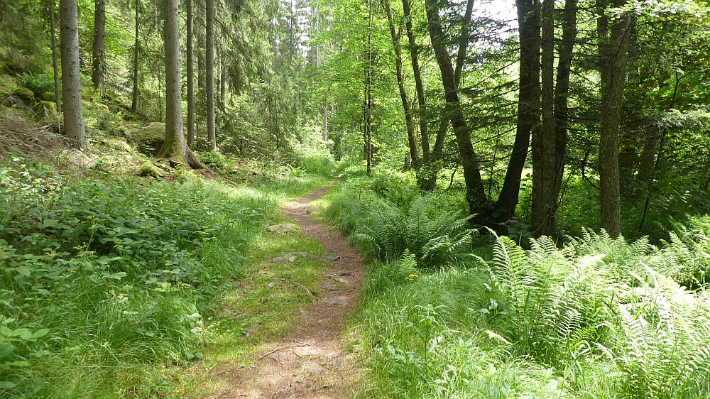 schluchtensteig