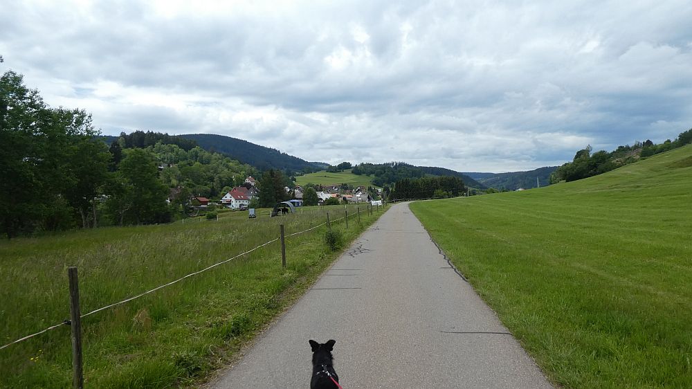 schluchtensteig
