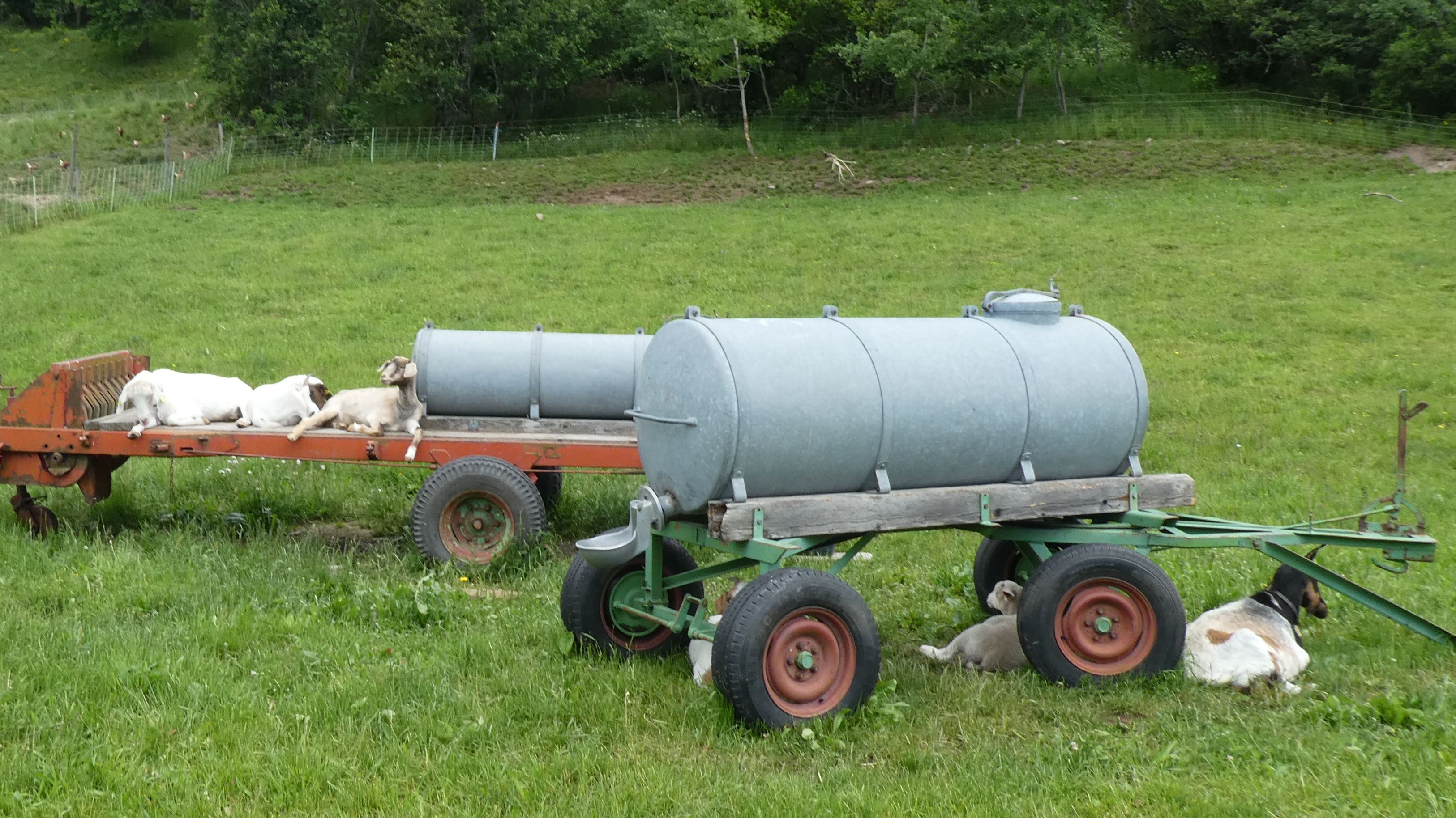 schluchtensteig