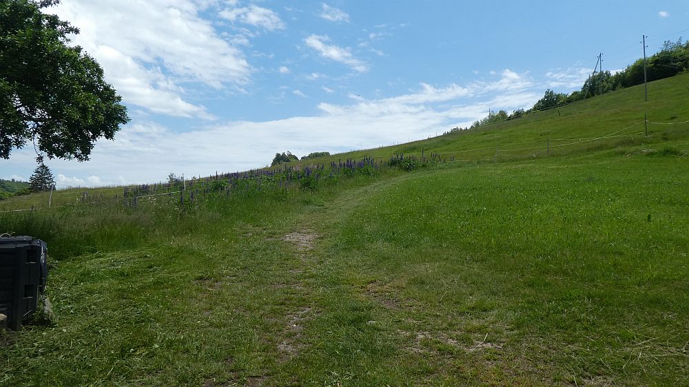 schluchtensteig