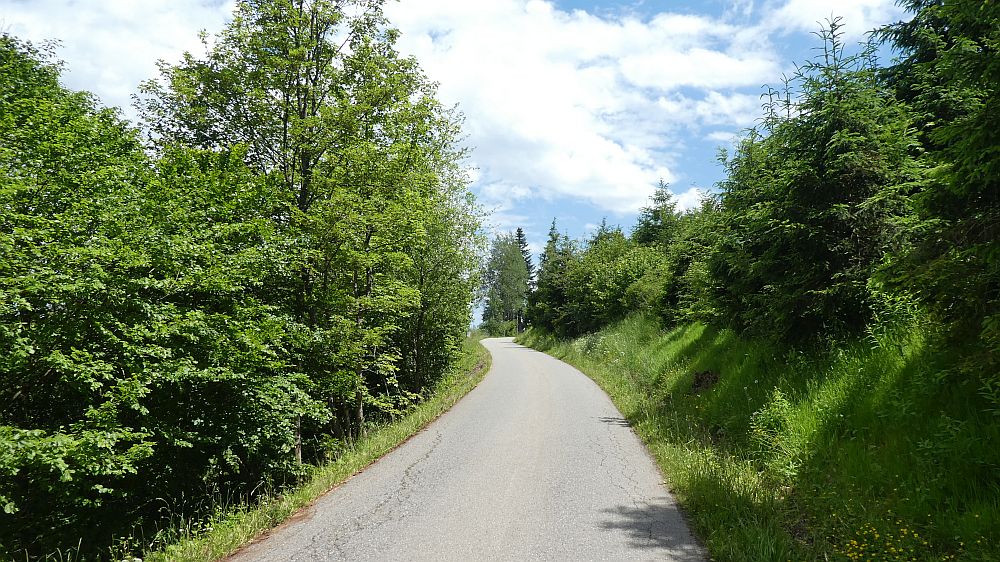 schluchtensteig