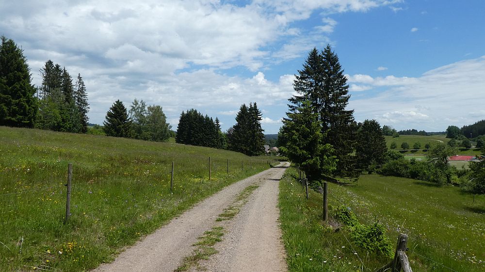 schluchtensteig