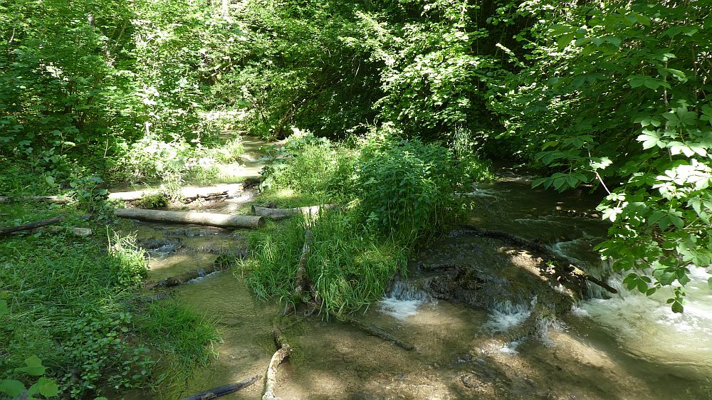 schluchtensteig