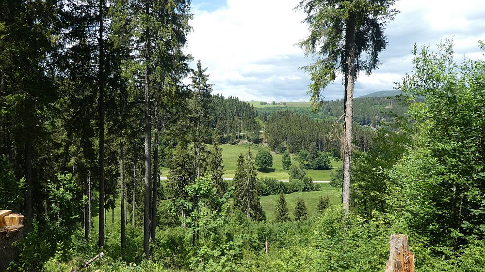 schluchtensteig