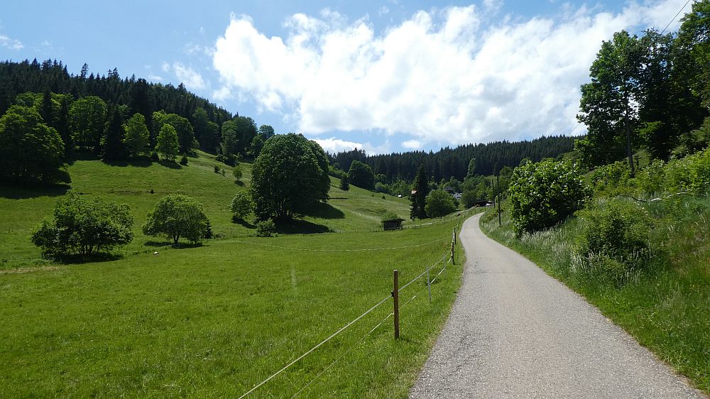 schluchtensteig