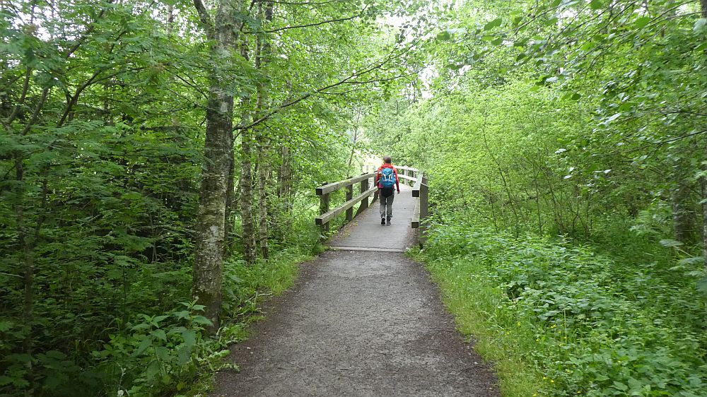 schluchtensteig