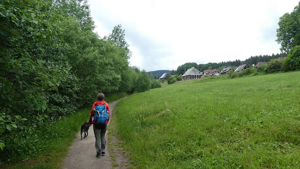 schluchtensteig