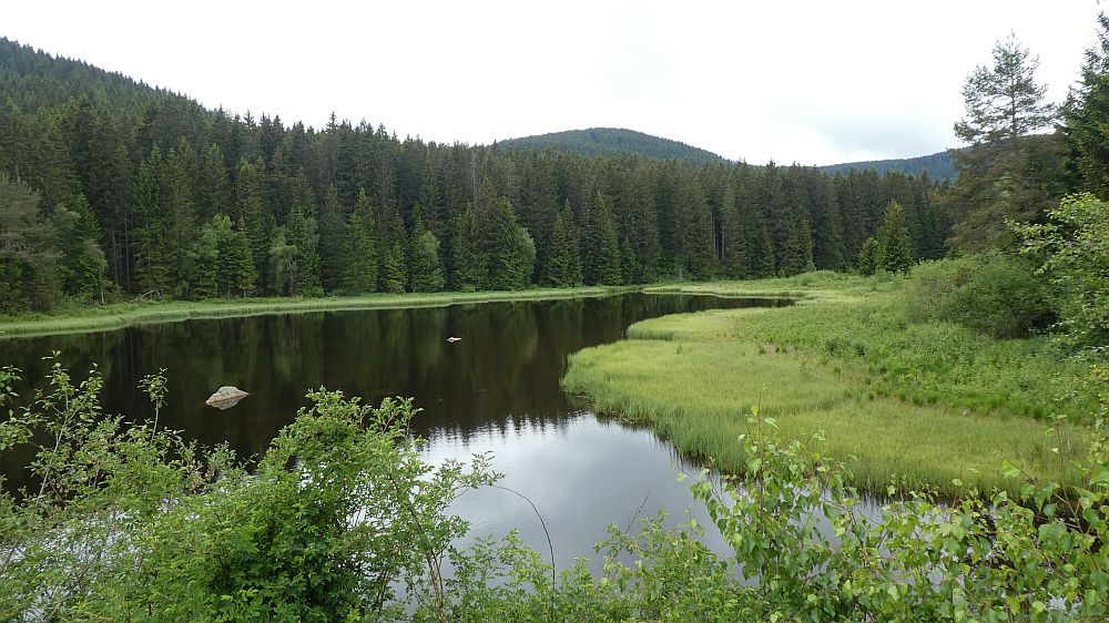 schluchtensteig