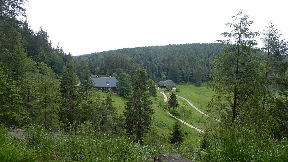 schluchtensteig
