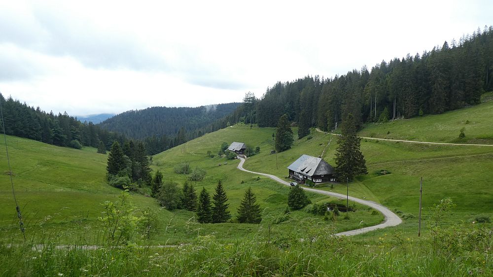 schluchtensteig