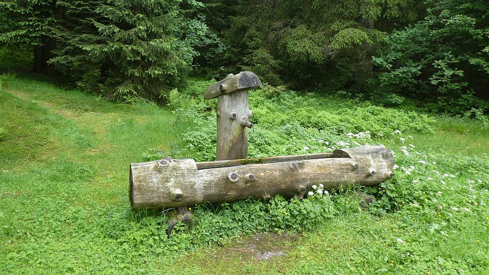 schluchtensteig