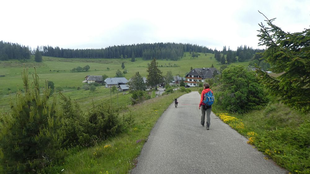 schluchtensteig