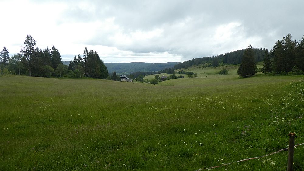 schluchtensteig