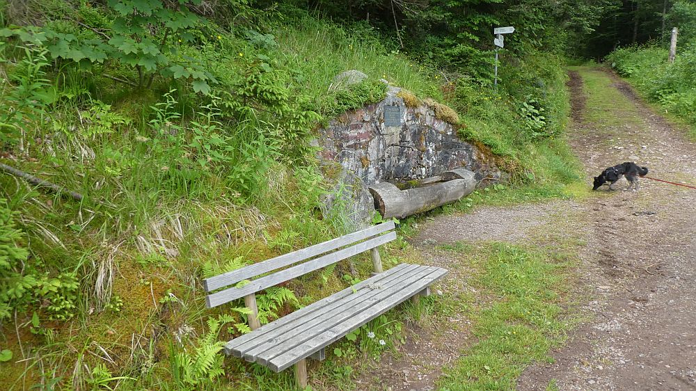 schluchtensteig