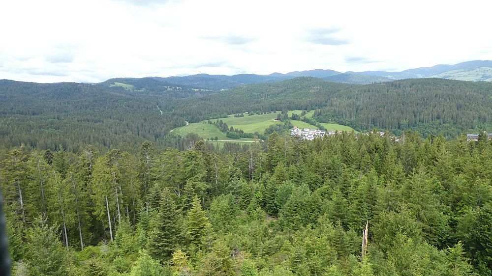 schluchtensteig