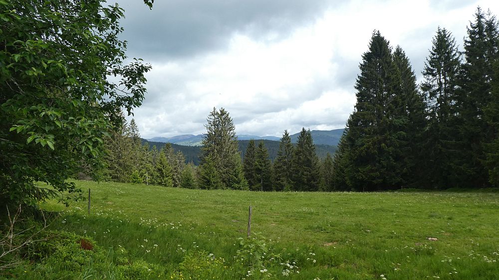 schluchtensteig