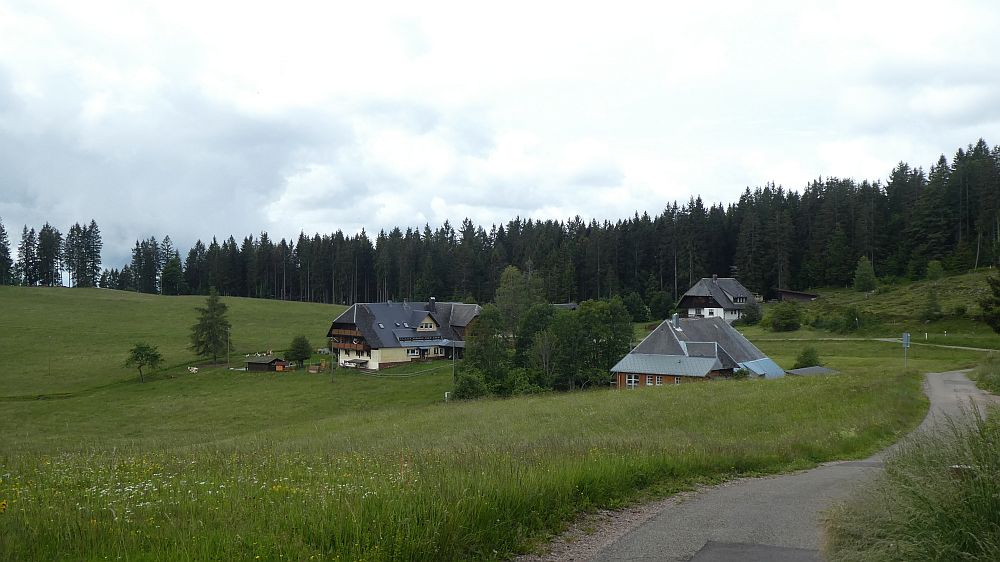 schluchtensteig