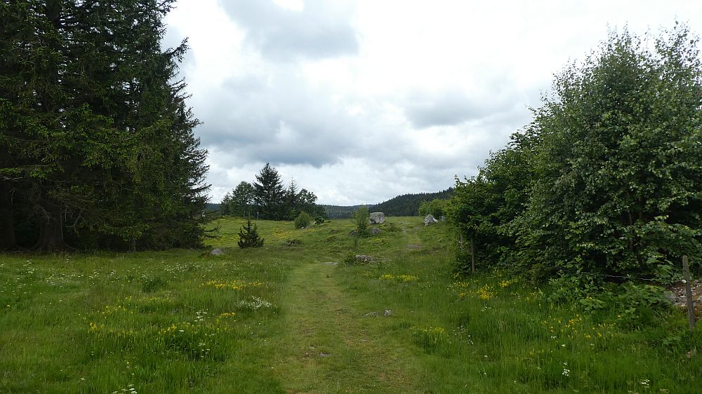 schluchtensteig
