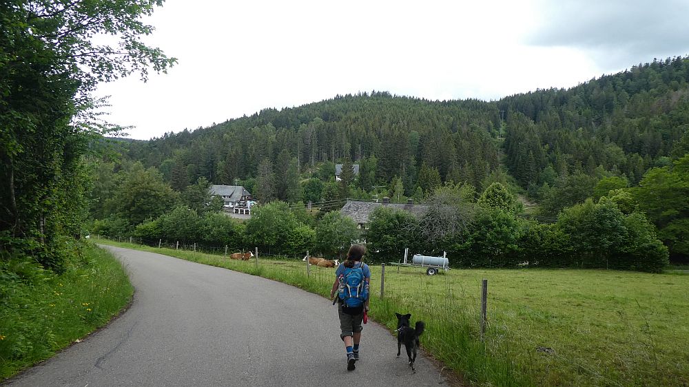schluchtensteig