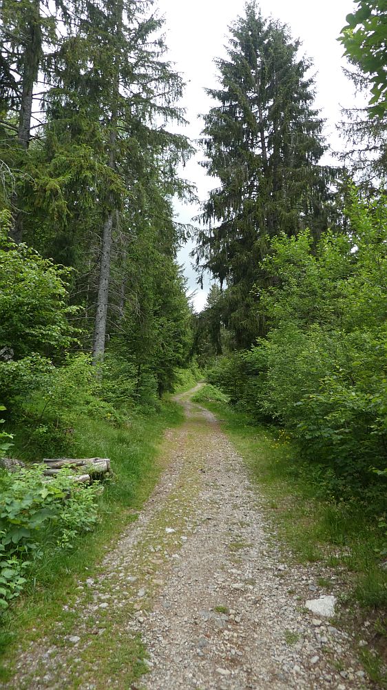 schluchtensteig