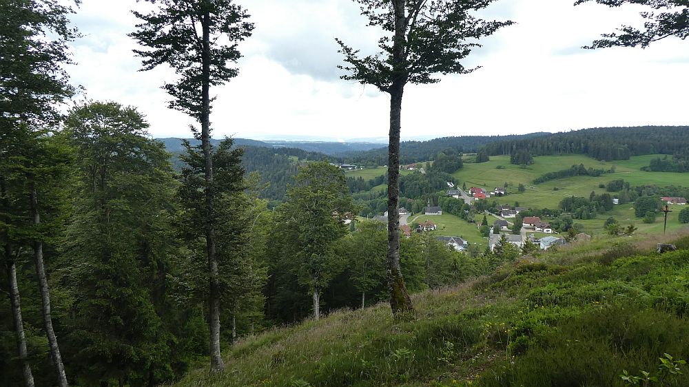 schluchtensteig