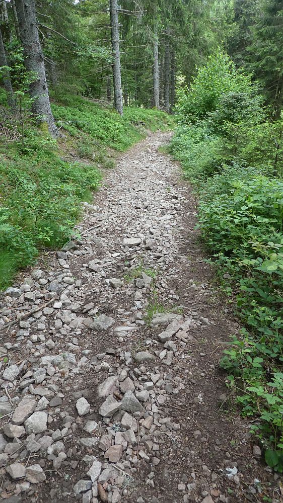 schluchtensteig