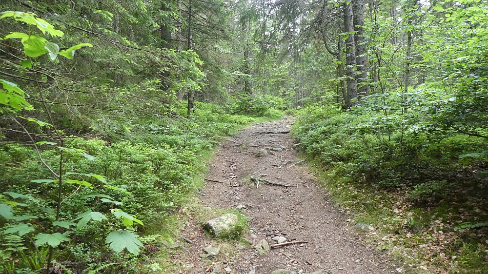 schluchtensteig
