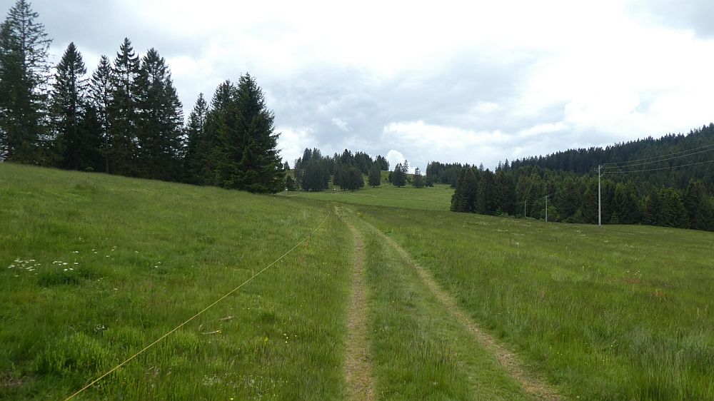 schluchtensteig