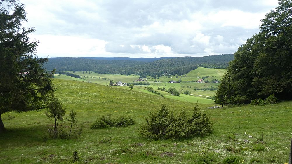 schluchtensteig