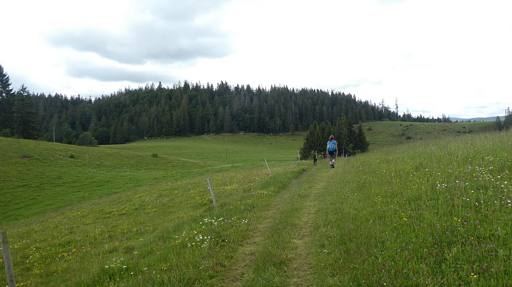 schluchtensteig