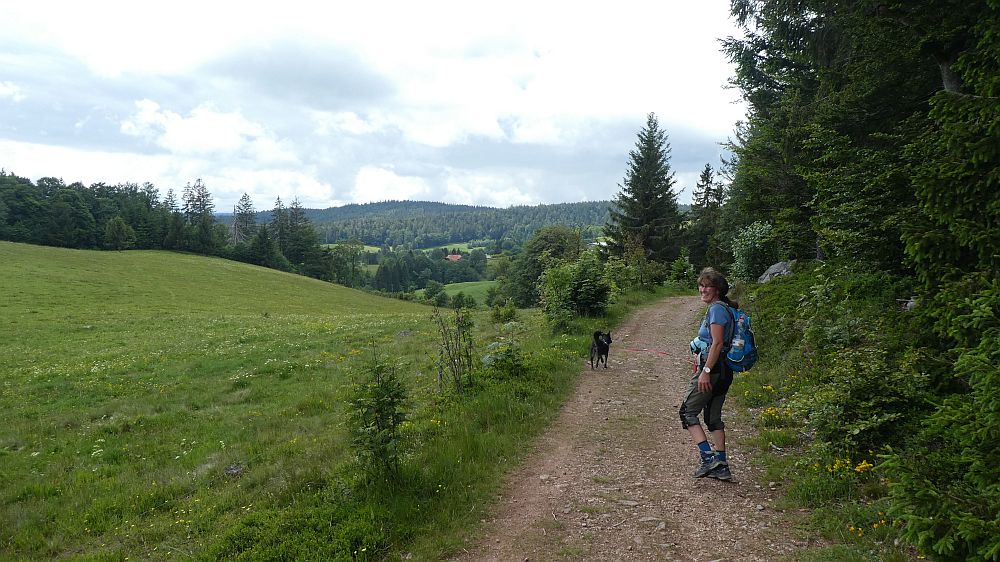 schluchtensteig