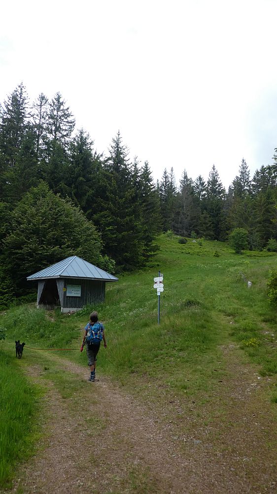 schluchtensteig