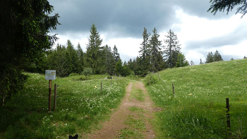 schluchtensteig