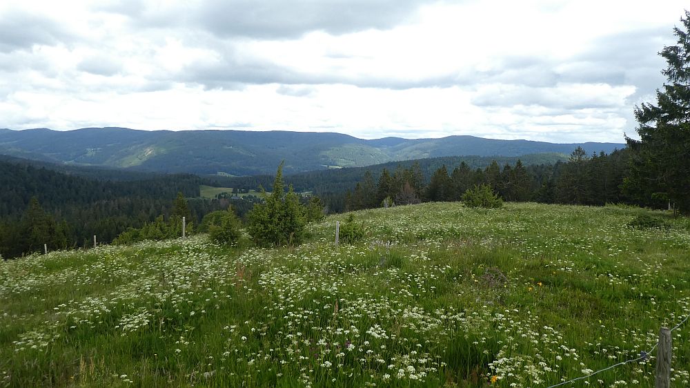 schluchtensteig