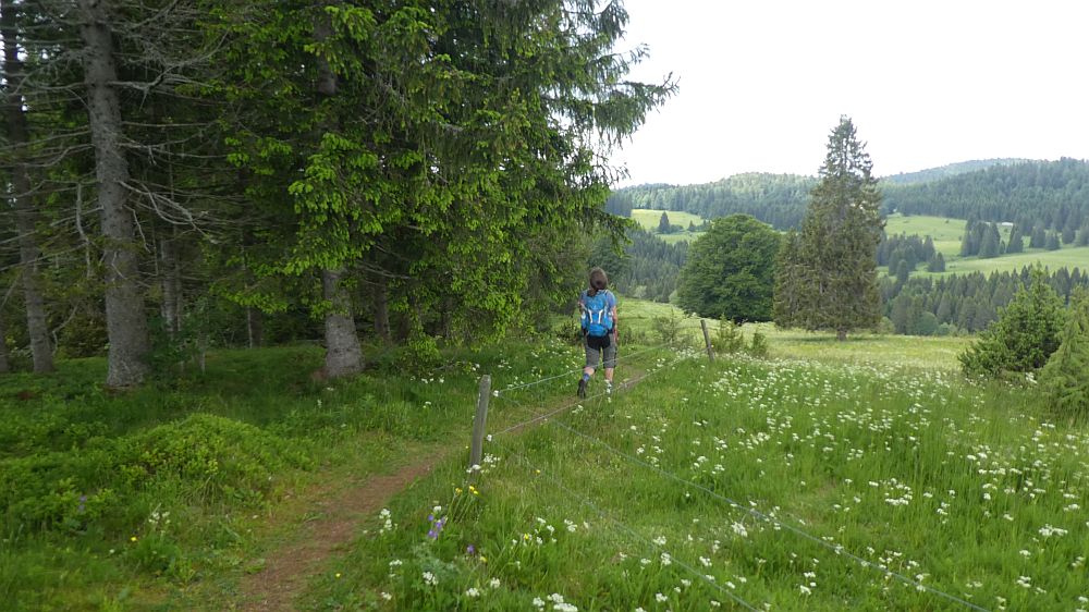 schluchtensteig