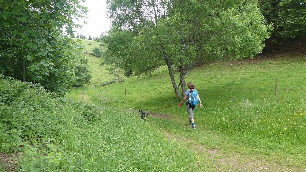 schluchtensteig
