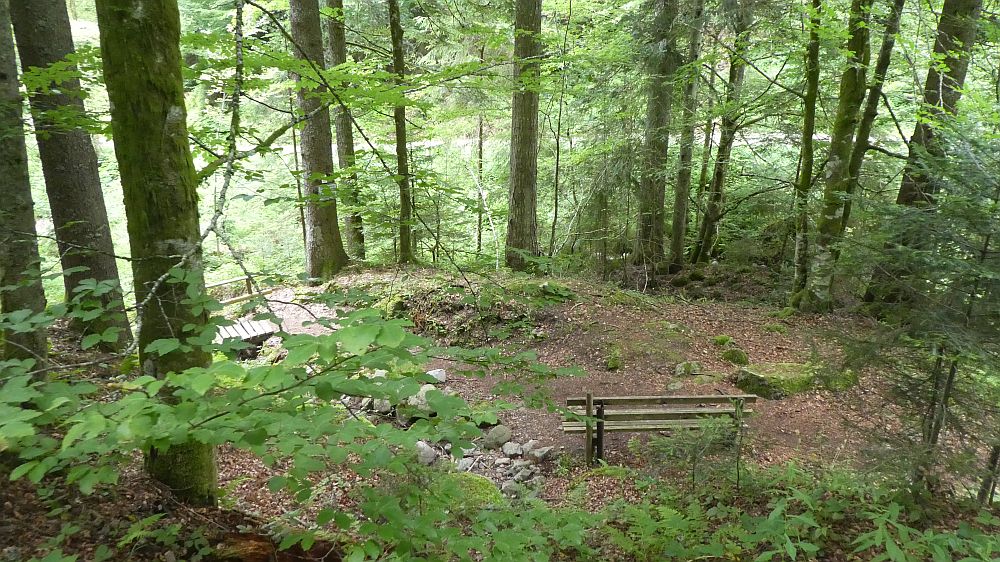 schluchtensteig